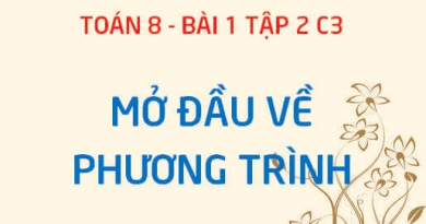 Phương trình một ẩn là gì? Giải phương trình là tìm điều gì? phương trình tương đương với nhau khi nào? - Toán 8 bài tập 2 chương3